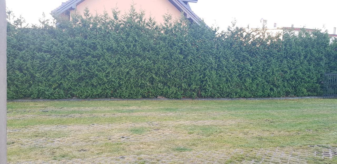Pokoje Gościnne Pryzmat Władysławowo Zewnętrze zdjęcie